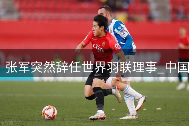张军突然辞任世界羽联理事 中国席位空缺引发业界关注