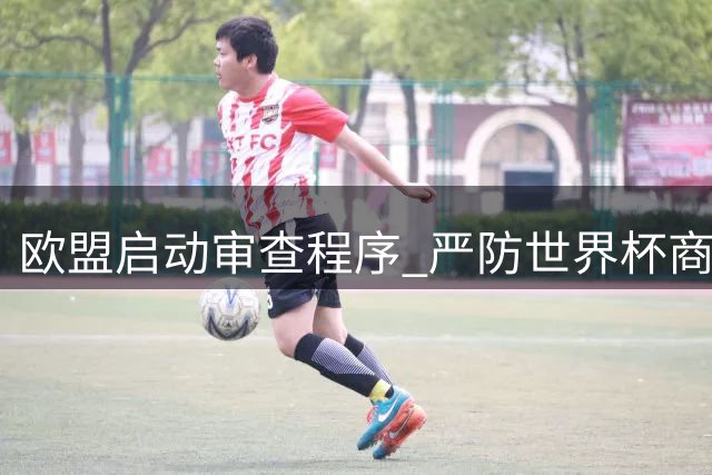 欧盟启动审查程序 严防世界杯商业化过度侵蚀体育本质